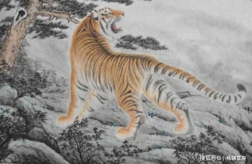 十全十美无缺陷,低三下四任人吼是什么生肖请全面释义、解释与落实、实证解答解释落实